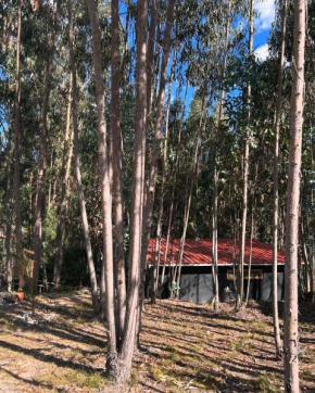 Casa Eucalipto